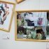 Фотоотчет: Санкт-Петербургская международная конная выставка "Иппосфера" 2011