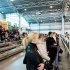 Фотоотчет: Санкт-Петербургская международная конная выставка "Иппосфера" 2011