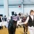 Фотоотчет: Санкт-Петербургская международная конная выставка "Иппосфера" 2011