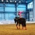 Фотоотчет: Санкт-Петербургская международная конная выставка "Иппосфера" 2011