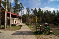 Фотообзор: Конно-спортивный клуб "Комарово"