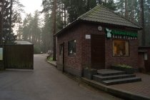 Конный центр "Солнечный остров" и база "Лесной воздух" во Всеволожске, фото