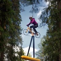 King Kong Park, "Кинг Конг Парк", веревочный парк в Ильичево, Ленинградская область