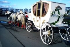 Конный клуб в Орловском парке