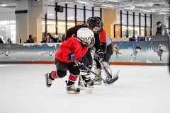 Hockey Masters