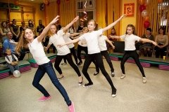 Кошки, спортклуб на Новочеркасской