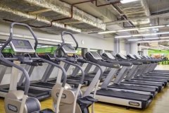 Alex Fitness на Невском