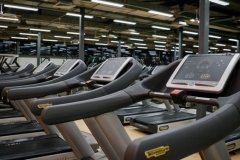 Alex Fitness на Ушинского