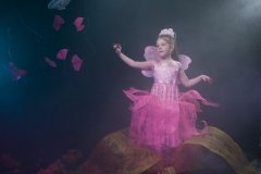 Альба на Гражданском проспекте