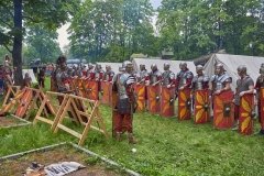 Legio V Macedonica, военно-исторический клуб