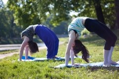 Nataraja School of Yoga (Натараджа) йога
