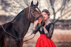 Dream Horse