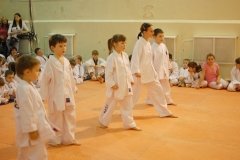 Чингу, секция тхэквондо (ИТФ) в Купчино