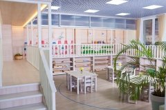 American Montessori International
