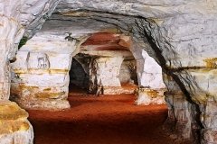 ЛООО "Сохранение природы и культурного наследия"