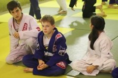 Gracie Barra в Центральном районе