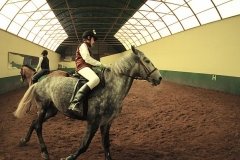 КСК Новополье, конноспортивный клуб