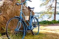 Велосипеды и самокаты