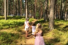 "Лес", экоотель