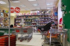 "Здоровый малыш" на Флотской улице в Кронштадте