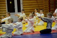 "Сэнсин", клуб айкидо на Энгельса
