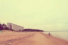 "Репино"