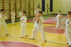 Спортивная секция Каратэ-до в Красносельском районе