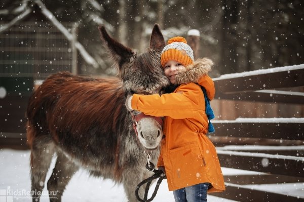 "Зубренок", контактный зоопарк, катание на пони и лошадях для детей в Токсово, Ленинградская область