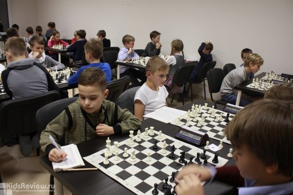 Riverside, "Риверсайд", шахматный клуб для детей от 4 до 15 лет на Черной речке, СПб