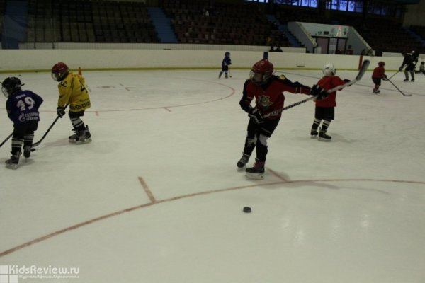 Ice-profy (Айс-профи), школа хоккея в Петербурге