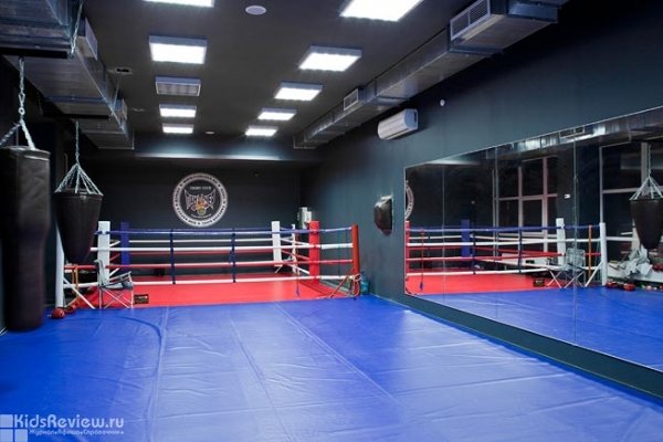 "Панчер", спортивный клуб, занятия боксом для детей от 10 лет, СПб