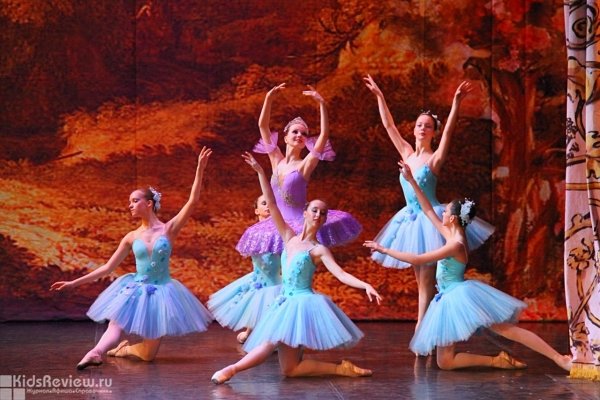Школа классического балета им. Н.А. Долгушина (ОДОД школа №210 Центрального района) в Санкт-Петербурге