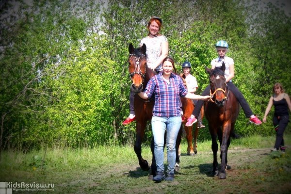 "Феникс", конный клуб, верховая езда для детей и взрослых в Колпинском районе, Ленинградская область