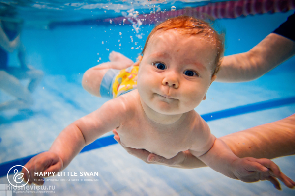 Happy Little Swan, финская школа раннего плавания для малышей от 3 месяцев на Замшина в СПб, Калининский район