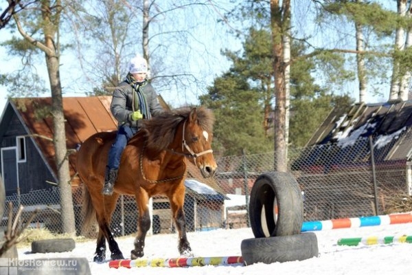 Horse-дворик, школа верховой езды в Кузьмолово, СПб (переехал)