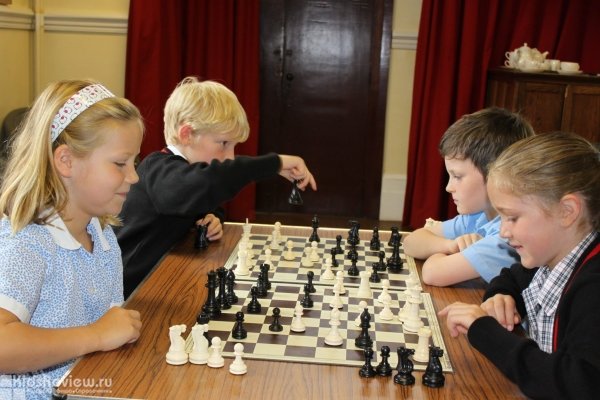 "Успех", шахматна школа для детей от 4 до 12 лет на Большевиков, СПб