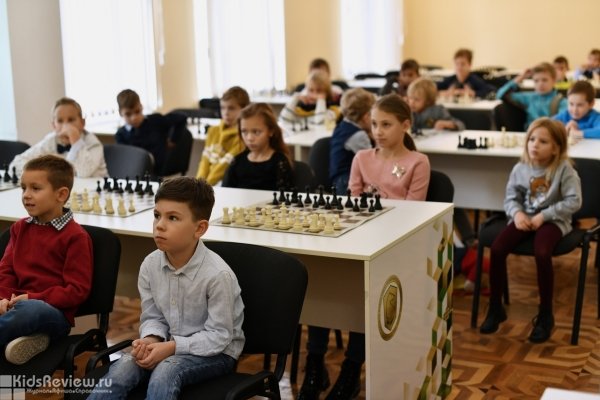 "Медный всадник", профессиональная детская шахматная школа в Центральном районе СПб