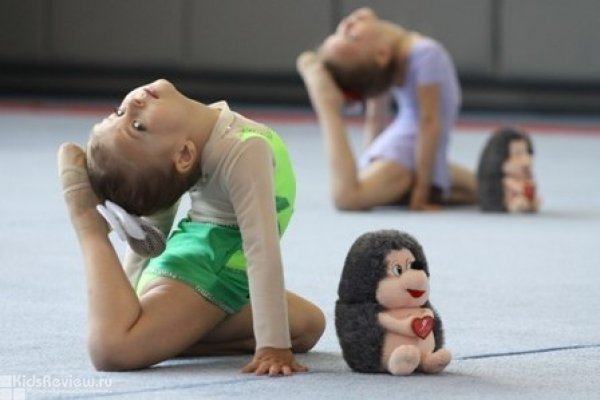 "Премиум-спорт", спортивный клуб по художественной гимнастике для детей в Приморском районе Санкт-Петербурга