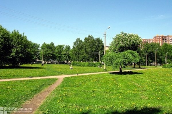 Любашинский парк (сад), СПб