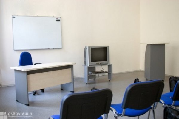Viva Lingua Plus ("Вива Лингва +"), школа иностранных языков, английский язык для детей на Невском, СПб