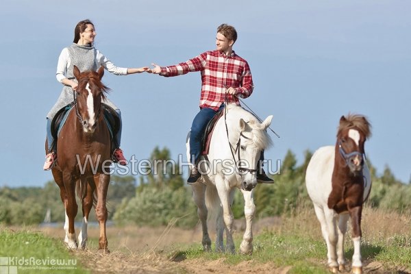 Western Horse, "Вестерн Хорс", конный клуб в Ломоносовском районе Ленинградской области