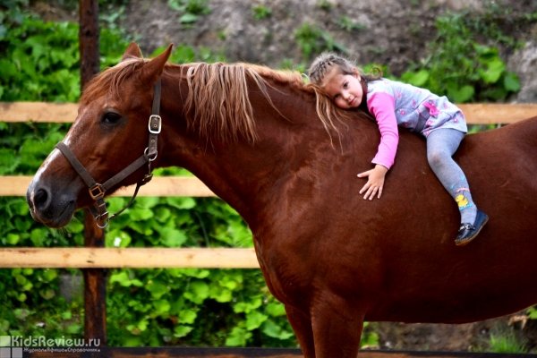 Hello Horse, школа верховой езды в Ленинградской области