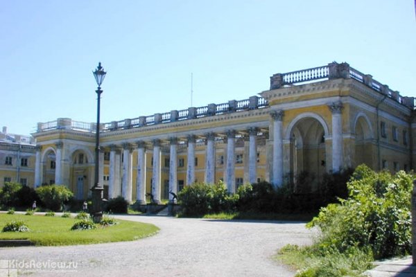 Александровский дворец,  Пушкин
