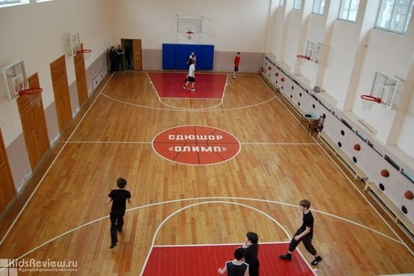 Филиал Детско-юношеской спортивной школы олимпийского резерва по баскетболу (ГОУ ДО СДЮШОР)