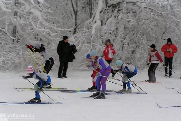 ДЮСШ Красносельского района (лыжные гонки, волейбол, гимнастика и др)
