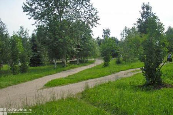 Сосновка, лесопарк (Сосновский лесопарк)