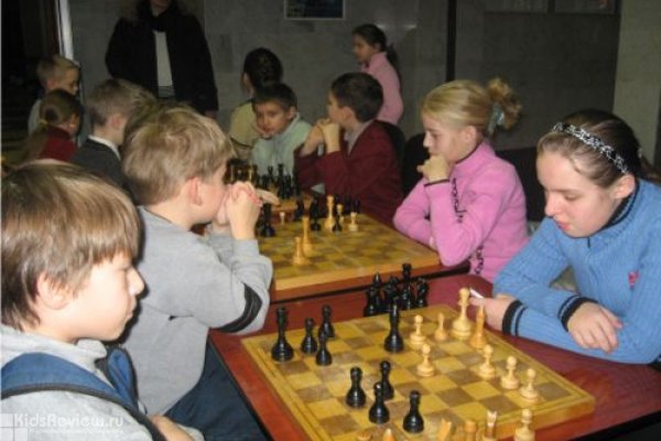 Отделение шахмат Дворца творчества детей и молодежи