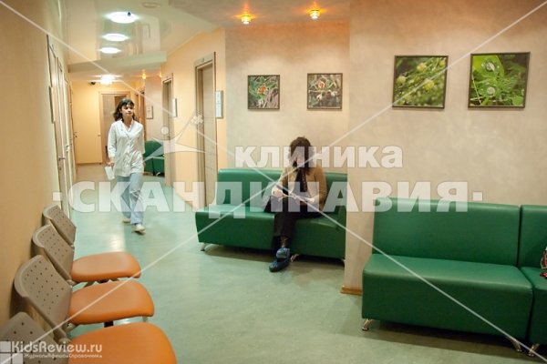"Скандинавия" (отделение Озерки), многопрофильная клиника, круглосуточный травмпункт в Озерках, СПб