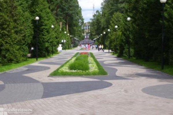 Зеленогорский парк культуры и отдыха (ЗПКиО), колесо обозрения в Зеленогорске
