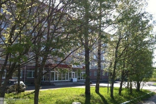 "Мичуринская", гостиница для семейного загородного отдыха в Ленинградской области, закрыта